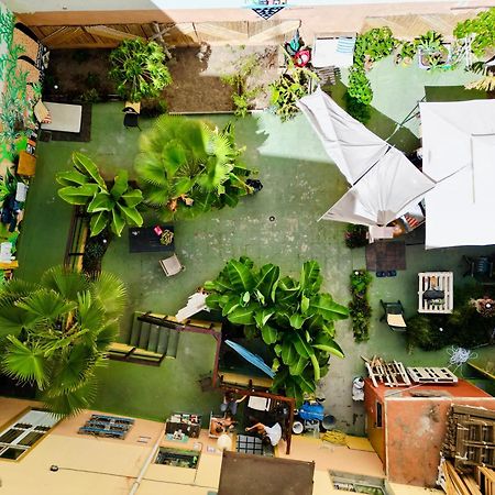 Jungle House Hostel ลาสปัลมาส เด กรานคานาเรีย ภายนอก รูปภาพ