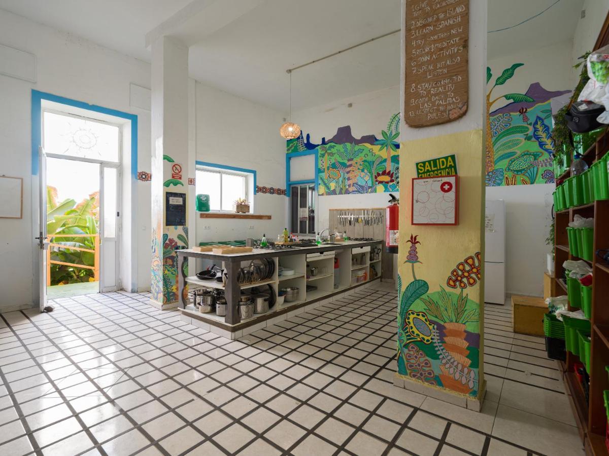 Jungle House Hostel ลาสปัลมาส เด กรานคานาเรีย ภายนอก รูปภาพ