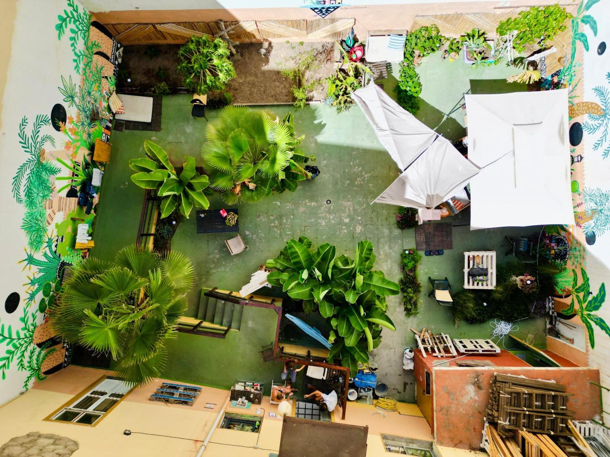Jungle House Hostel ลาสปัลมาส เด กรานคานาเรีย ภายนอก รูปภาพ